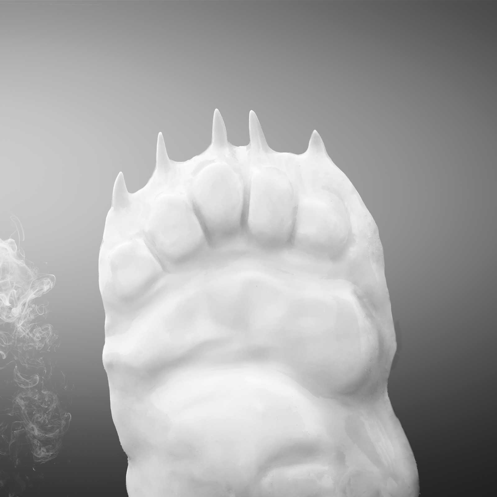 Ch-Orso-patte-ours